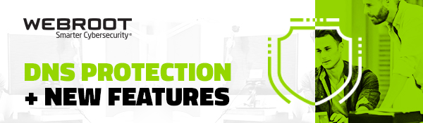 DNS PROTECTION + NEW FEATURES | WEBROOT